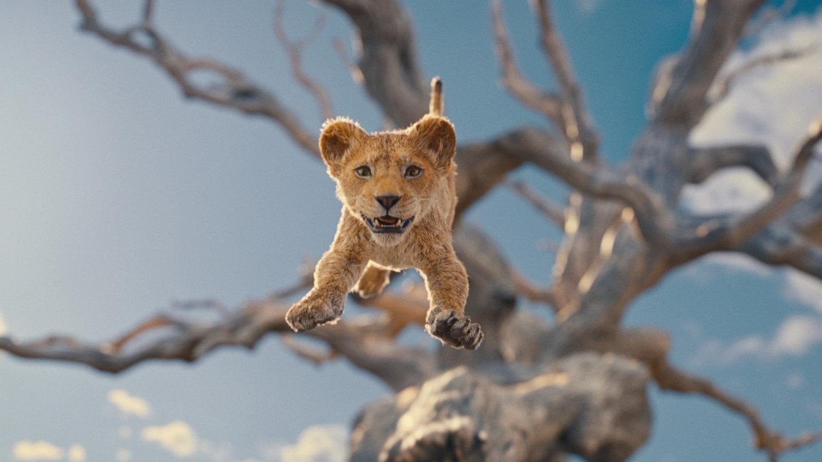 PHOTO: A still from Disney's "MUFASA: THE LION KING."