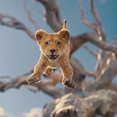 PHOTO: A still from Disney's "MUFASA: THE LION KING."