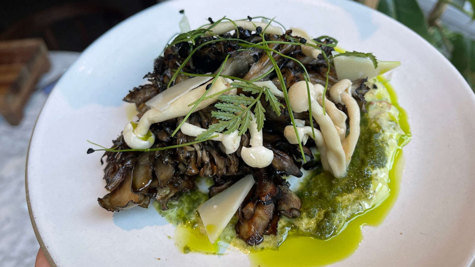 PHOTO: A roasted maitake, hen of the woods, mushroom with shishito pepper chimichurri aioli and pickled mushrooms.