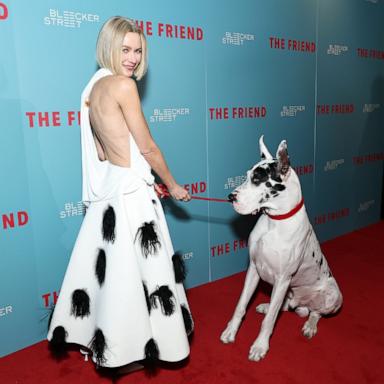 PHOTO: Naomi Watts and Bing the dog attend "The Friend" New York premiere, Mar. 24, 2025 in New York City.