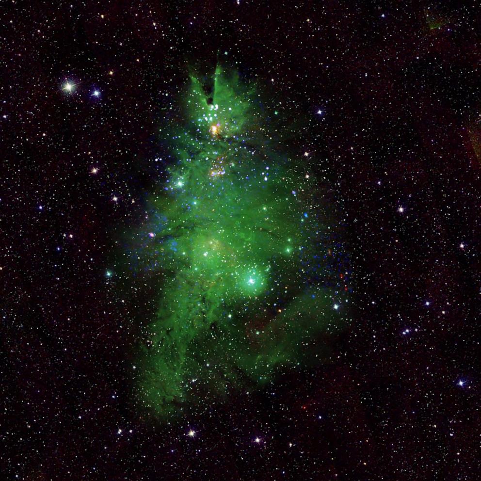 VIDEO: NASA released images of a 'Christmas Tree Cluster'
