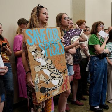 PHOTO: Karina Manley holds a sign against a proposed data center adjacent to the Nashville Zoo during a planning commission meeting, June 11, 2026, in Nashville, Tenn.