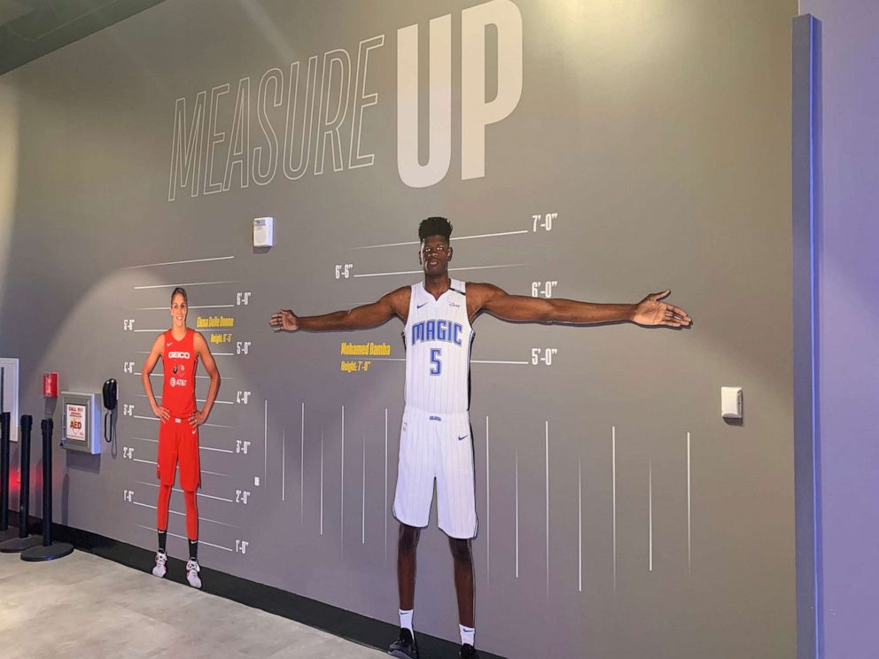 PHOTO: Visitors can see how they can measure up to today's NBA and WNBA stars.
