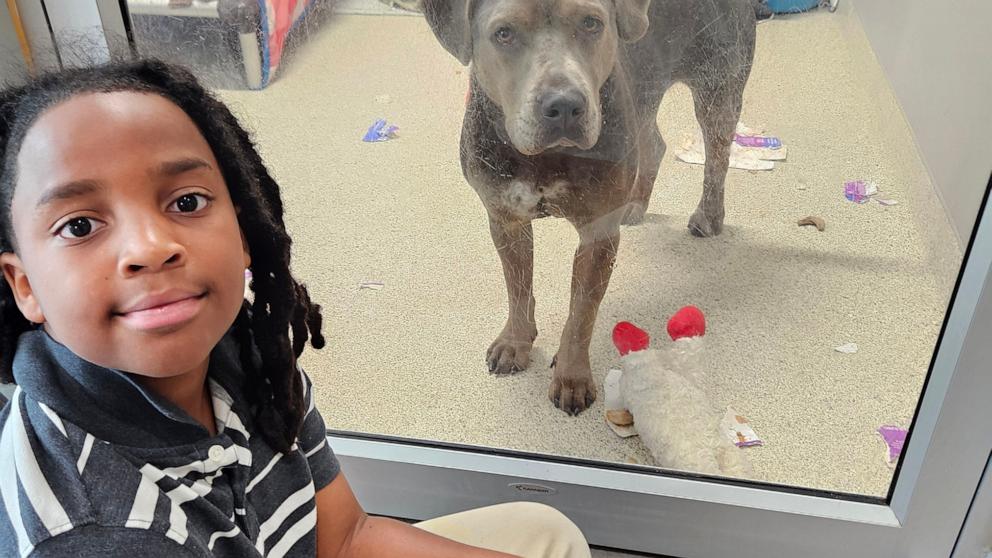 PHOTO: Nehemiah Turner, 11, was recently recognized for volunteering over 100 hours to read to animals at the Jacksonville Humane Society, in Jacksonville, Florida.