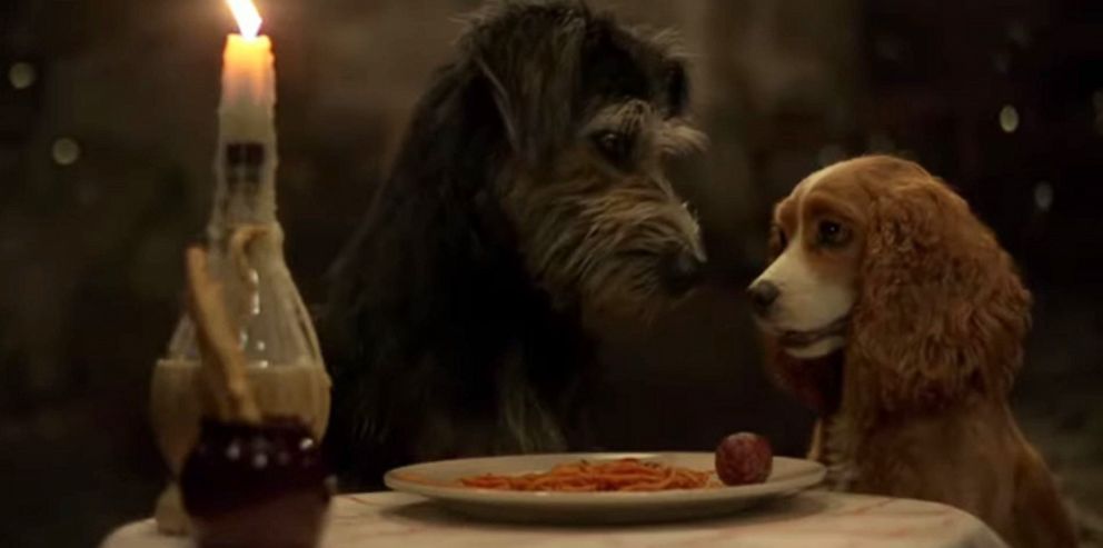 PHOTO: A scene from the Disney+ live action adaptation of Lady And The Tramp