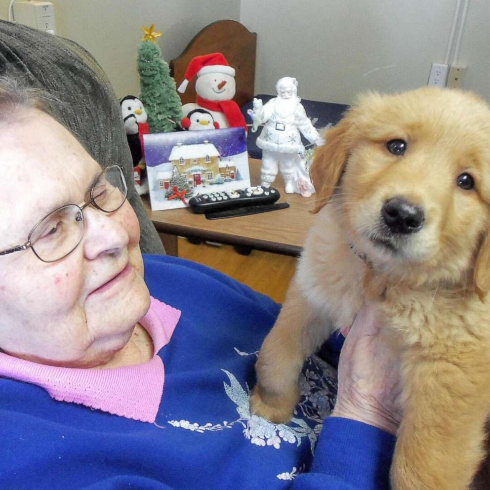 PHOTO: Gracie the Golden Retriever has been spreading love at Good Samaritan Society – Scotland in Scotland, South Dakota. Gracie has been visiting as indoor, family visitations slowly begin to reopen.