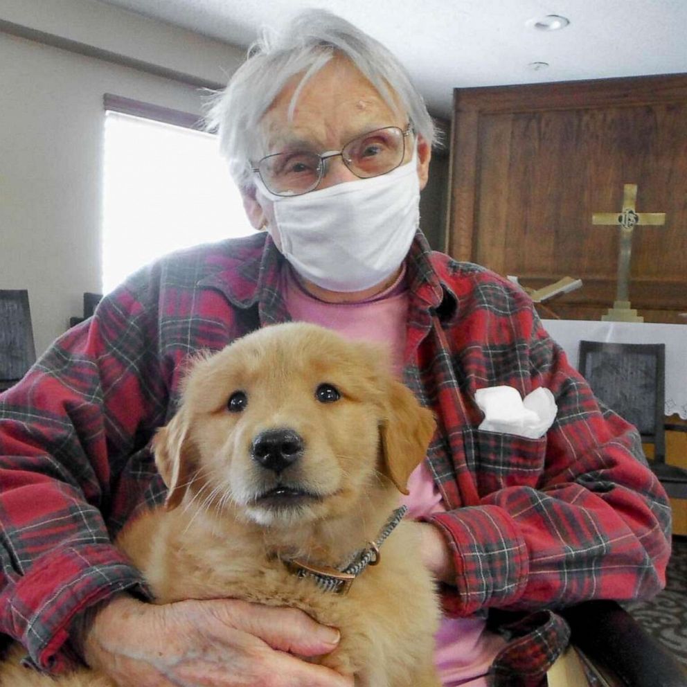 VIDEO: This nursing home has its own adorable resident puppy
