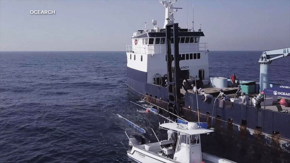 PHOTO: An Ocearch research boat in an undated photo.