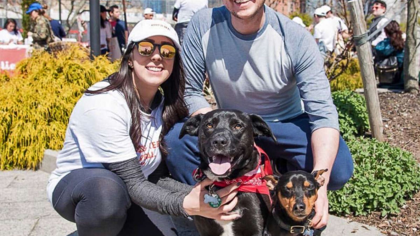 PHOTO: Mollie McGill and Patrick Sullivan are pictured with their dog Cooper and a foster dog in an undated handout photo.