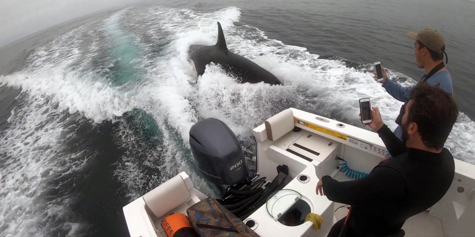 PHOTO: Video captured a close encounter with a fishing boat and an Orca whale off the coast of San Diego, Calif.