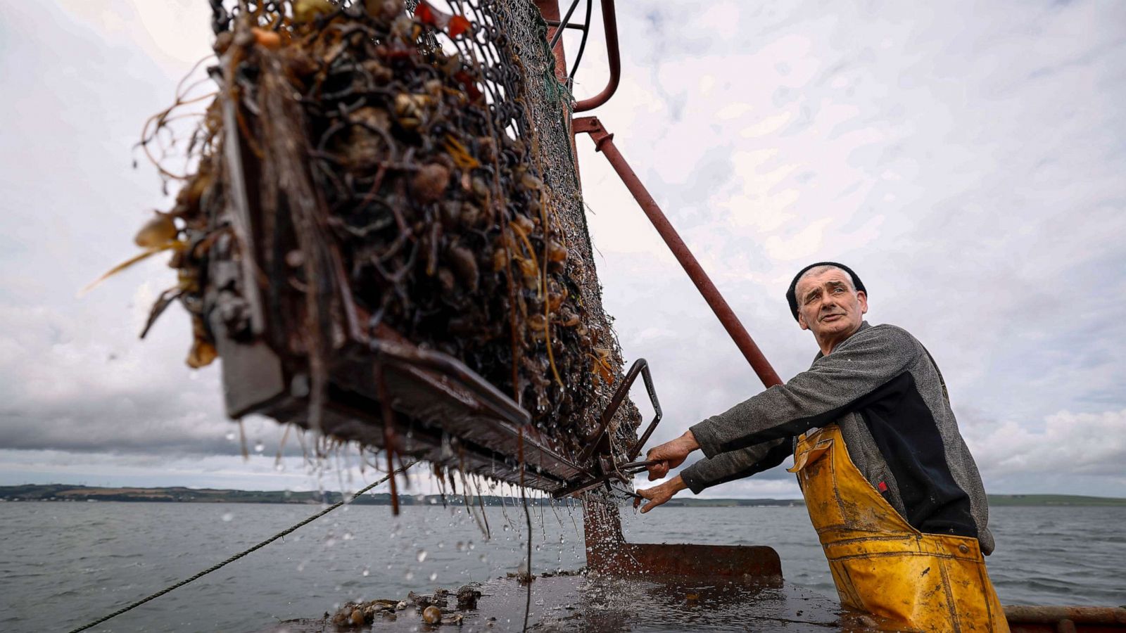 PHOTO: Rab Lamont dredges Scotland's last wild native oyster fishery from the 1970s Clyde built trawler, the 'Vital Spark' on August 31, 2023 in Cairnryan, Scotland.