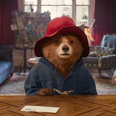 PHOTO: This still photo is taken from the official trailer for "Paddington in Peru."