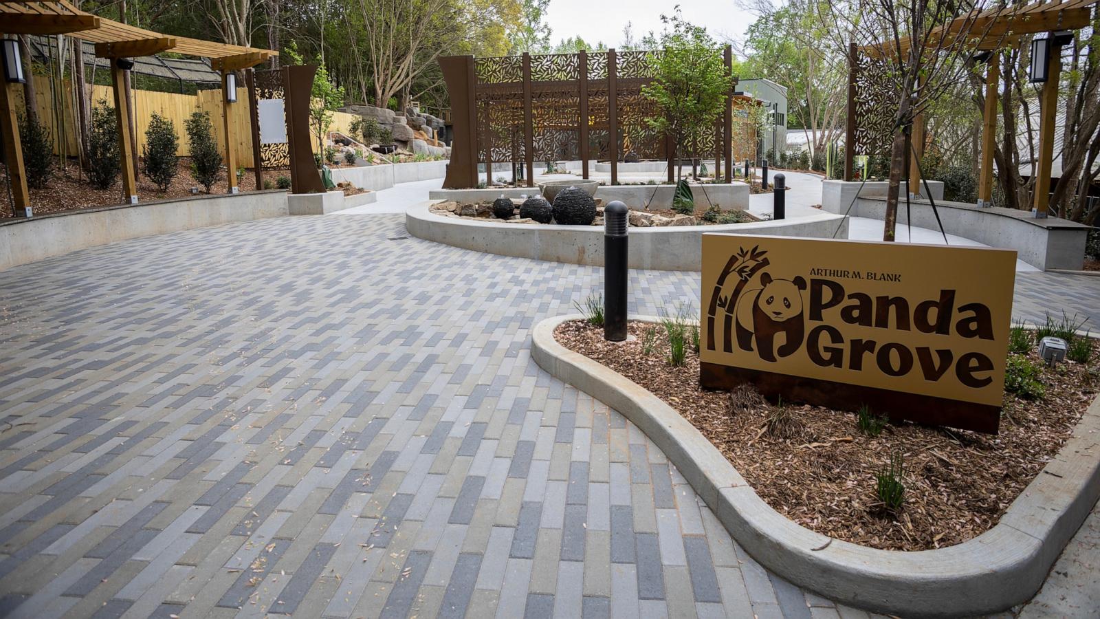 PHOTO: Zoo Atlanta’s giant pandas Ping Ping and Fu Shuang will make their debut on Friday, Nov. 6. in the Arthur M. Blank Panda Grove habitat, the Zoo Atlanta announced October 6, 2026.