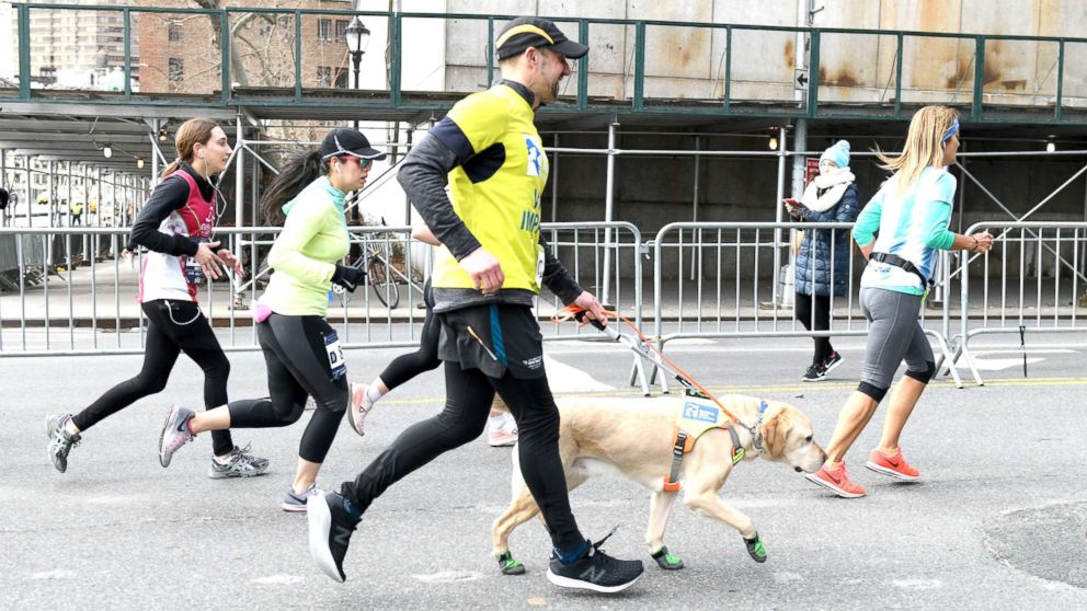 PHOTO: Guiding Eyes for the Blind President and CEO, Thomas Panek, runs the first ever 2019 United Airlines NYC Half Led Completely by Guide Dogs, with Gus, March 17, 2019, in New York.