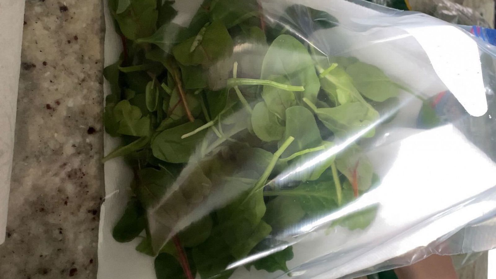 PHOTO: Add a paper towel to a bag or container of leafy greens.