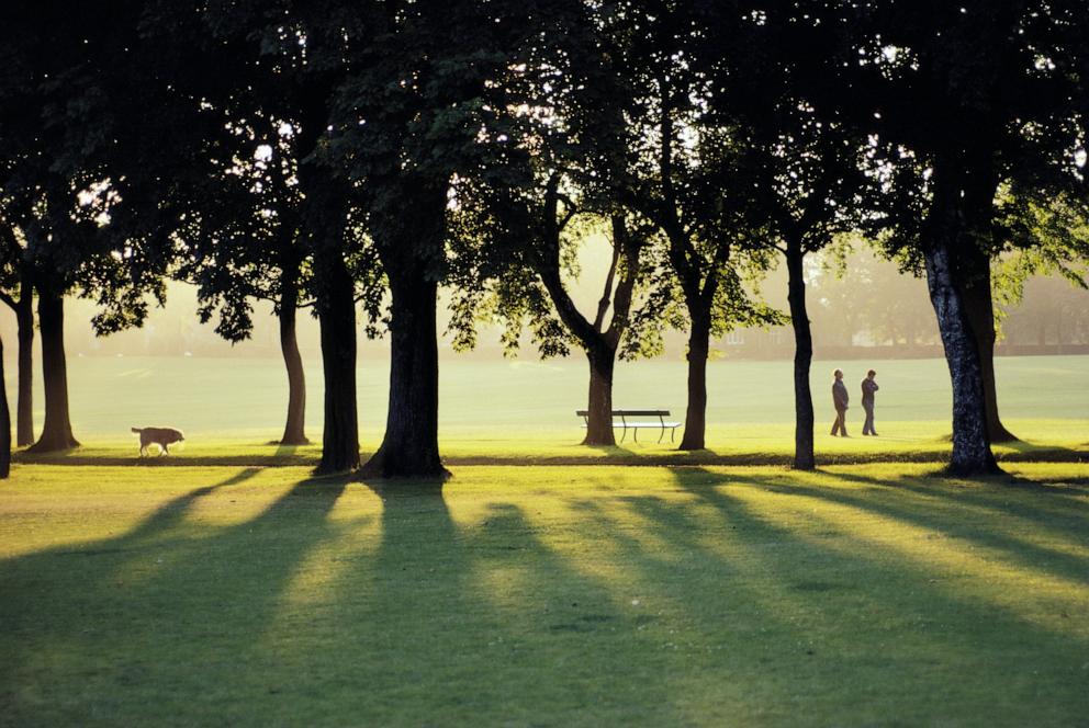 PHOTO: A park is seen here in an undated stock photo.