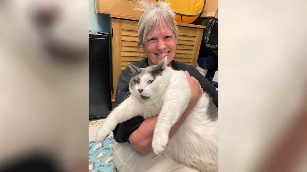 PHOTO: Kay Ford adopted Patches the cat earlier this week after seeing a photo of the 40-pound cat in a social media post shared by Richmond Animal Care and Control in Richmond, Virginia.