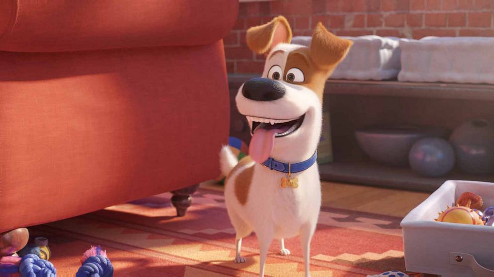 PHOTO: A scene from "Secret Life of Pets 2."