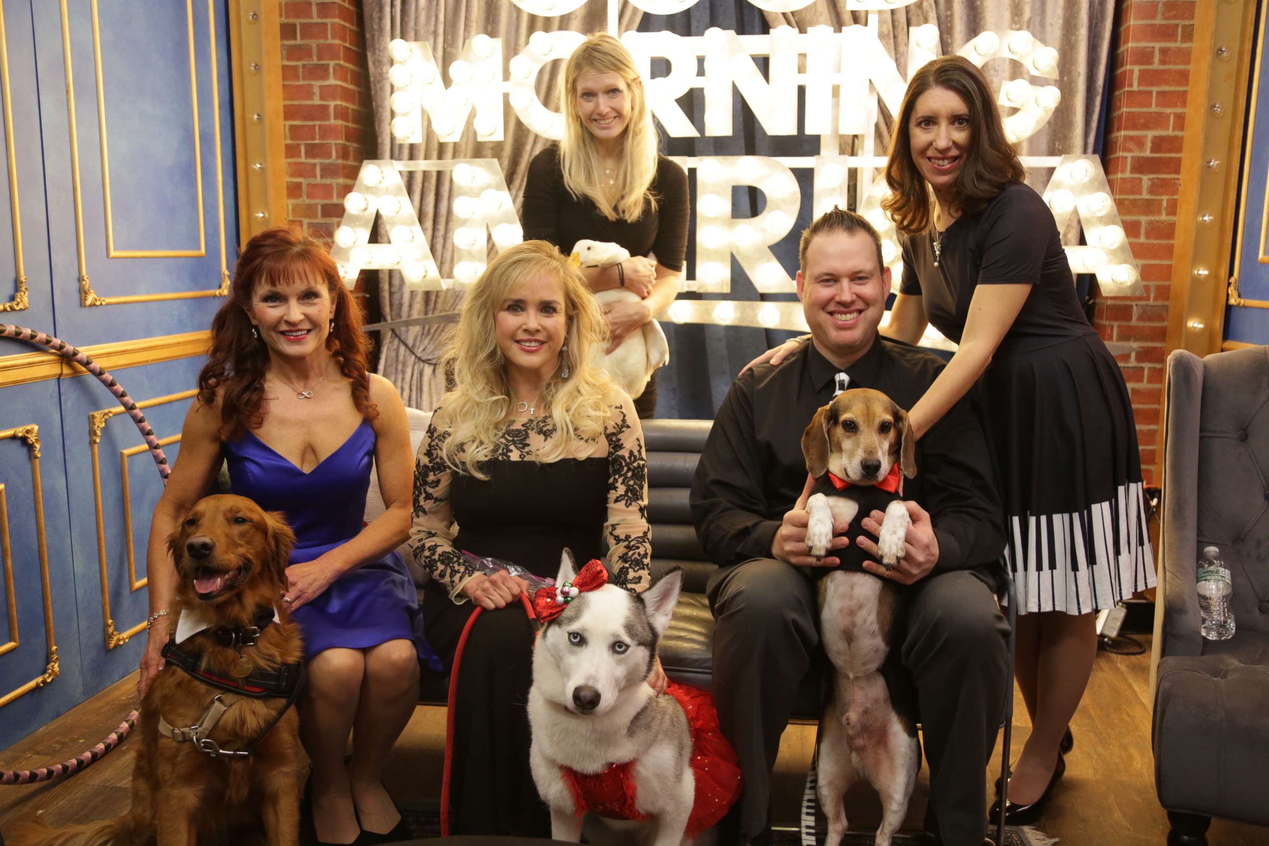 PHOTO: Pet nominees and their owners on "GMA" for the Pet of the Year Awards. 