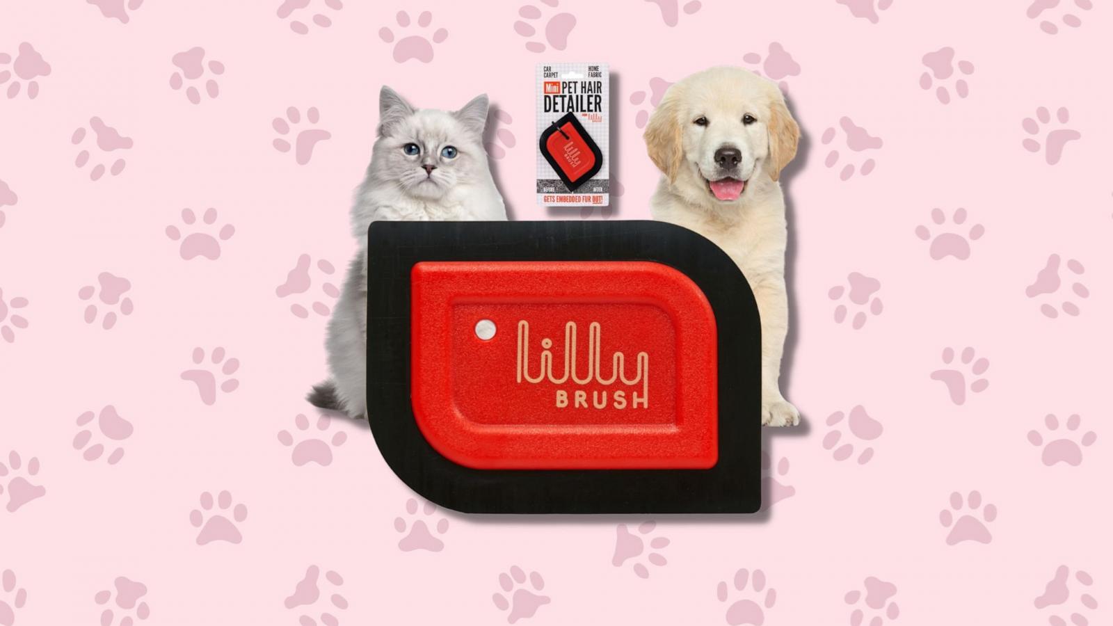 Lilly Brush Mini Pet Hair Detailer