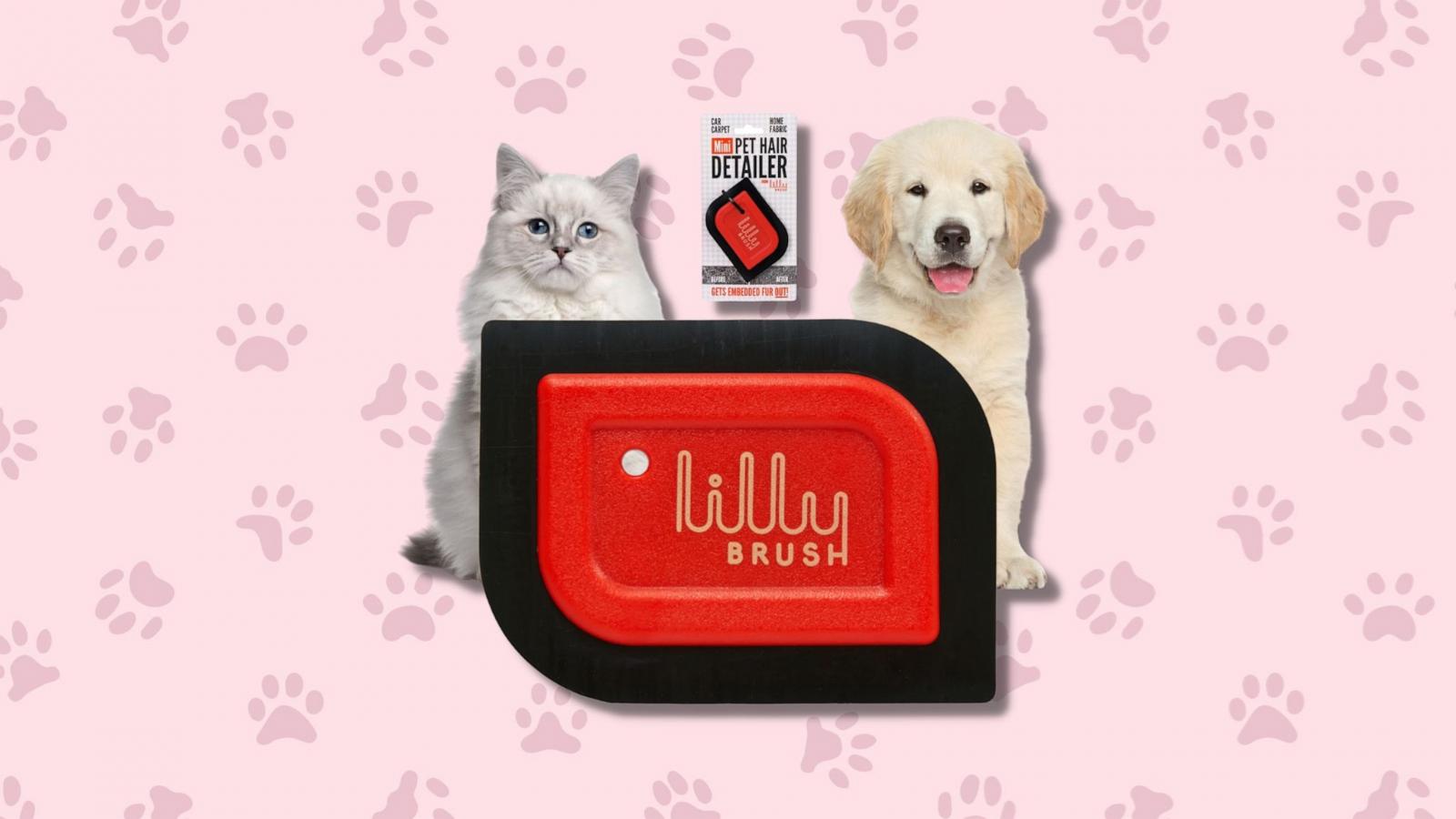 PHOTO: Lilly Brush Mini Pet Hair Detailer.