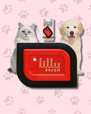 This cleaning brush is great for pet owners - Good Morning America