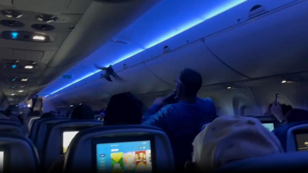 PHOTO: Video captured by passenger Tom Caw shows a man using his jacket in an attempt to catch one of the pigeons onboard.
