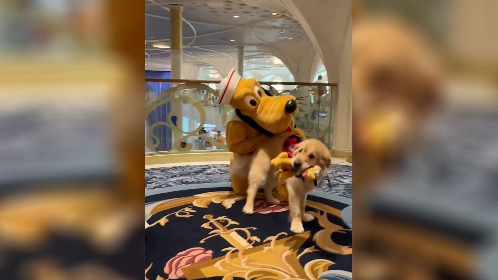 PHOTO: Forest played with his favorite Disney character, Pluto, onboard a Disney cruise line.