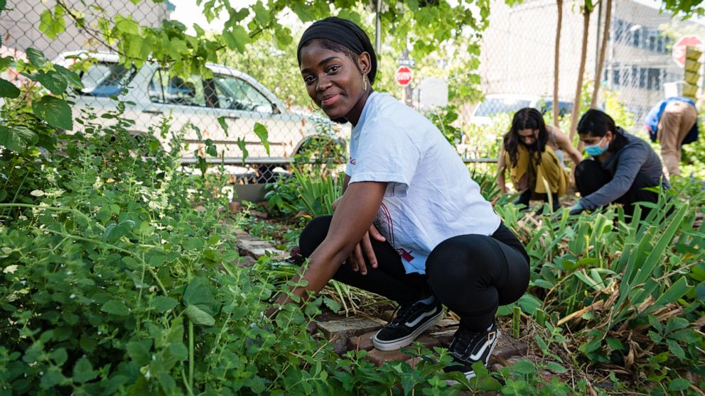 PHOTO: Through the Learning Gardens program in New York City, students of color learn about foraging, gardening and healthy eating.