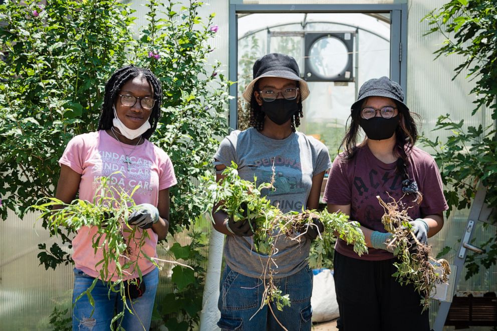 PHOTO: Foraging and gardening have a deep racial history. Learning Gardens aims to connect students of color with their roots.