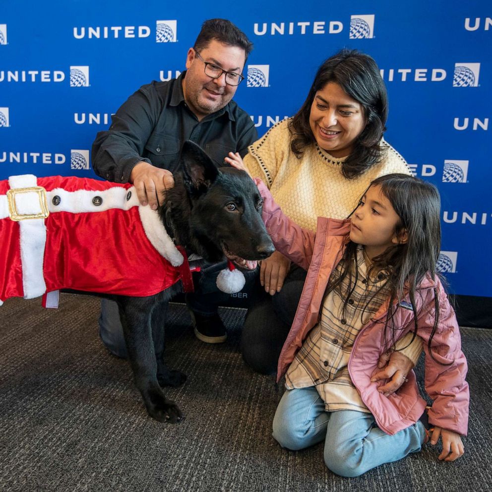 Pilot gives dog abandoned at airport a fur-ever home - Good Morning America