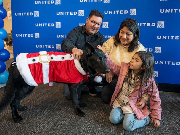 Ex-Tiger Wilcox brings leaping dogs to Field of Flight