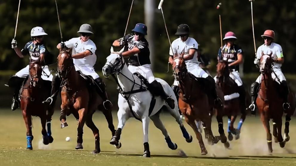 PHOTO: Screengrab from the Netflix trailer for "Polo."