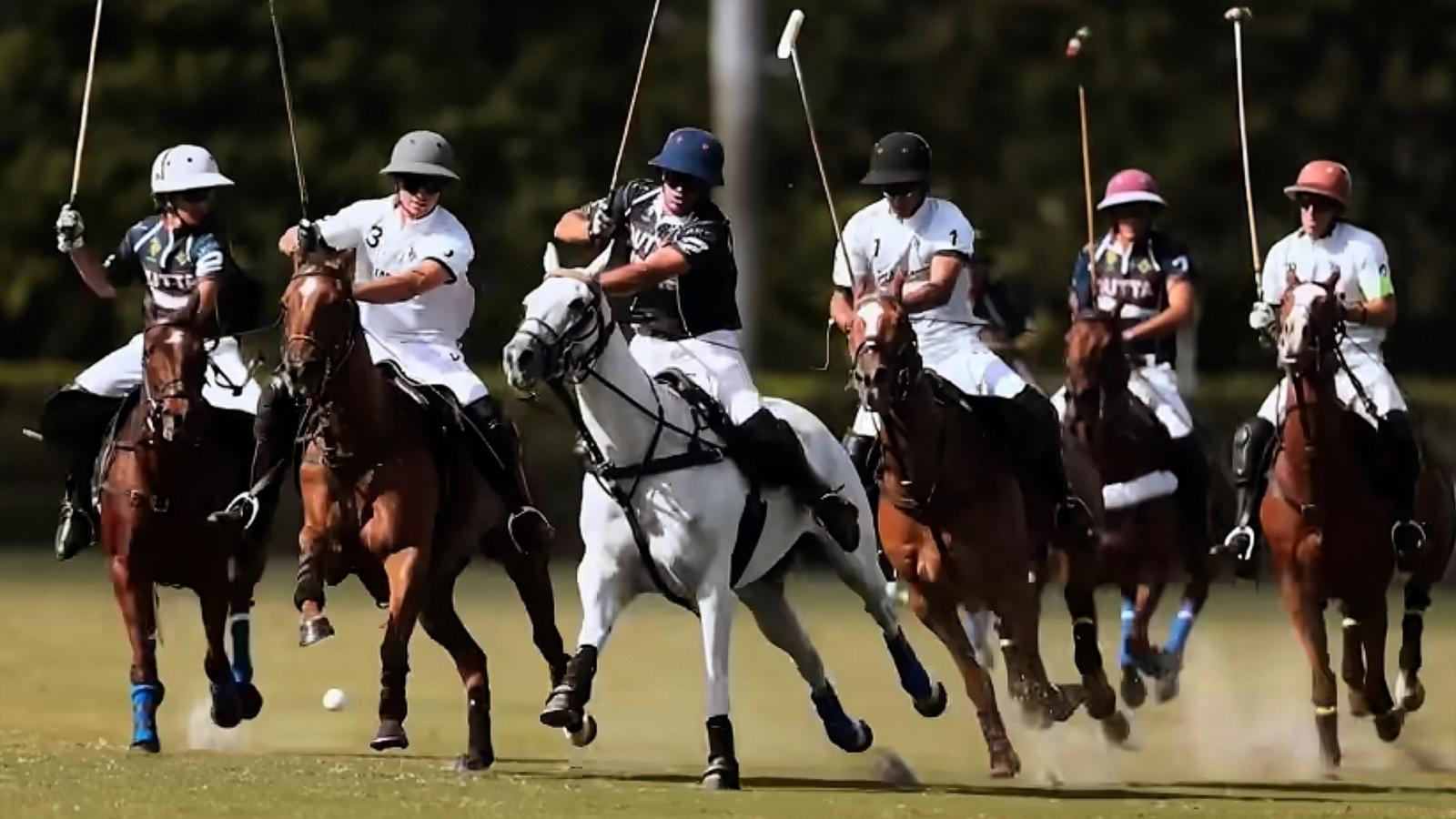 PHOTO: Screengrab from the Netflix trailer for "Polo."