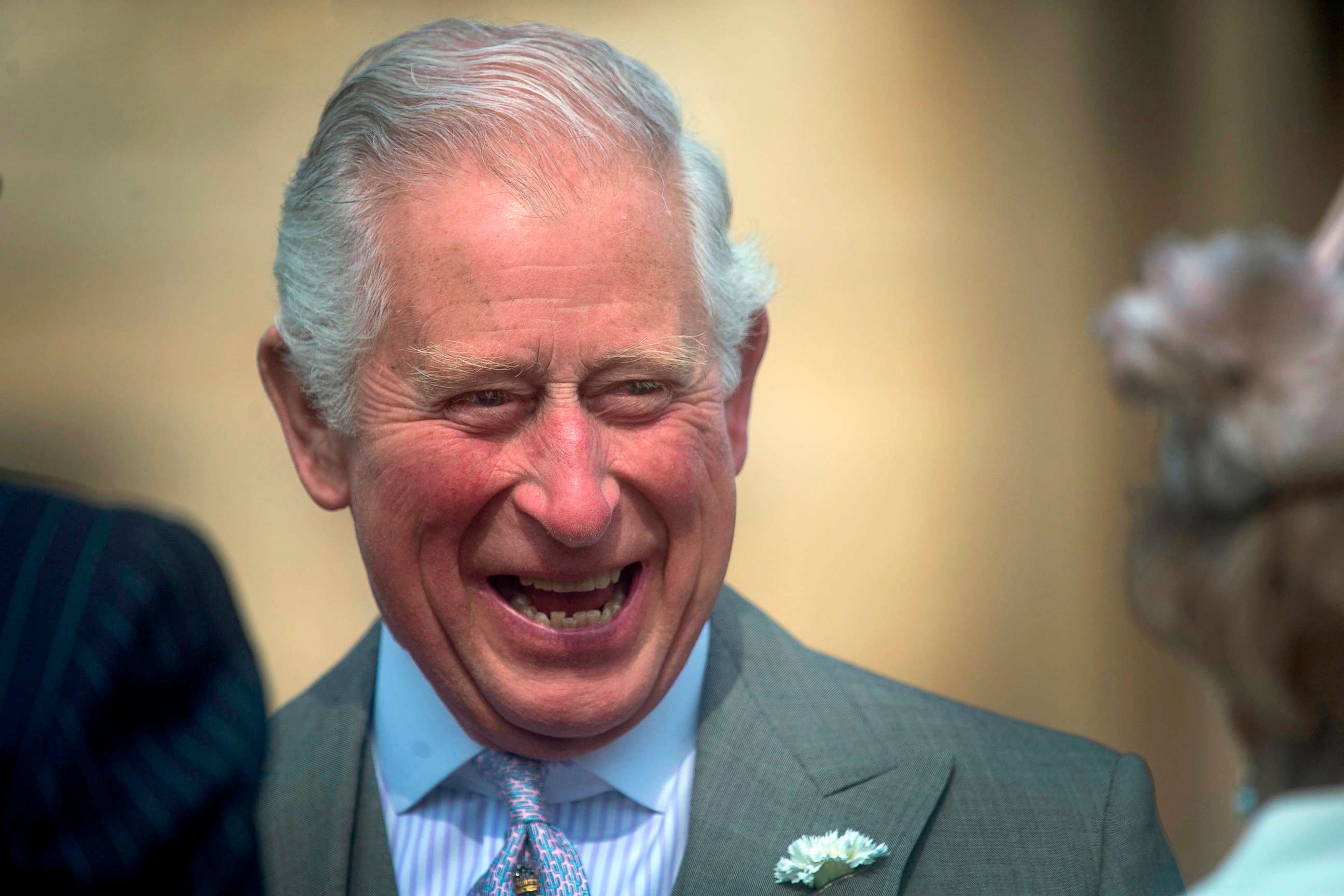 PHOTO: Britain's Prince Charles greets guests at the Queen's Garden Party at Buckingham Palace in central London on May 15, 2019.