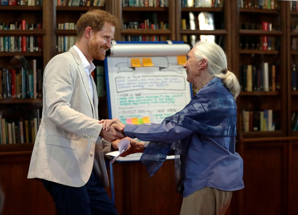 PHOTO: Prince Harry and Dr Jane Goodall dance as he attends Dr Jane Goodall's Roots & Shoots Global Leadership Meeting at St. George's House, Windsor Castle in England, July 23, 2019.