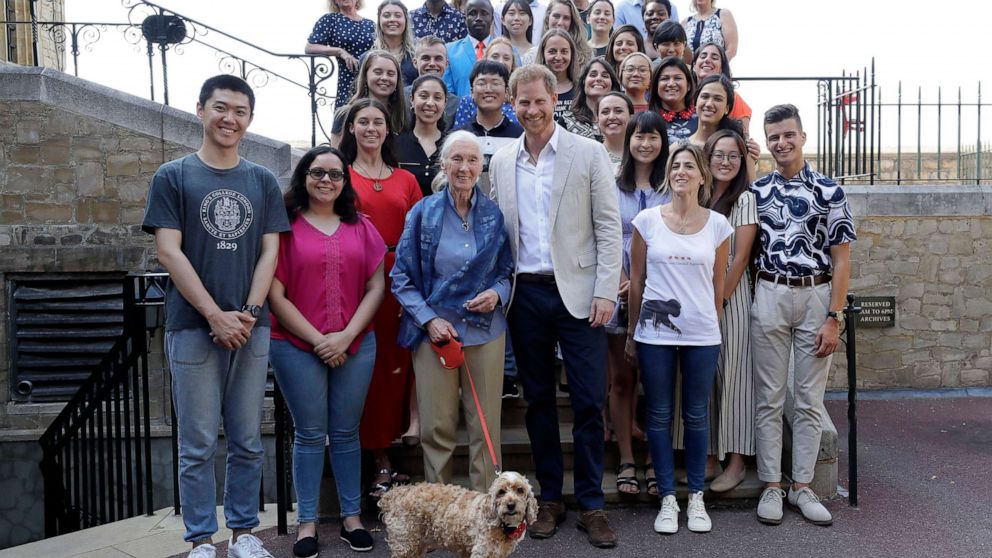 PHOTO: Prince Harry and Dr Jane Goodall pose for a photograph with Bella the Cockapoo and young people, as he attends Dr Jane Goodall's Roots & Shoots Global Leadership Meeting at St. George's House, Windsor Castle in England, July 23, 2019.