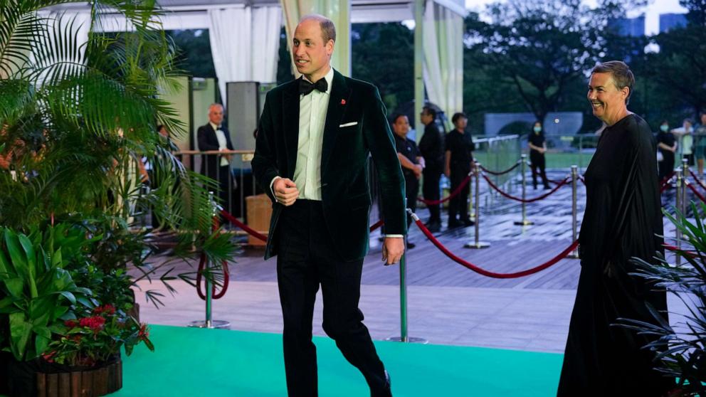 PHOTO: Britain's Prince William, arrives on the green carpet for the Earthshot Prize Awards in in Singapore, Nov. 7, 2023.