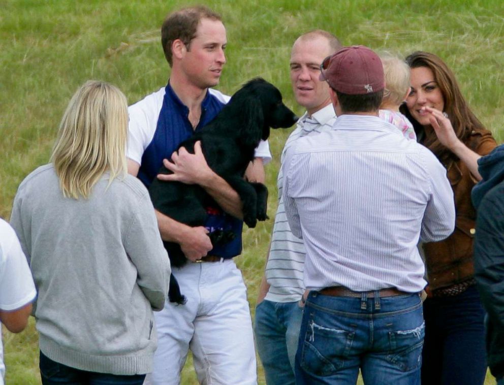 PHOTO: Zara Phillips, Prince William, Duke of Cambridge (carrying his dog Lupo), Mike Tindall, Peter Phillips and Catherine Duchess of Cambridge attend The Golden Metropolitan Polo Club Charity Cup polo match, June 17, 2012, in Tetbury, England.