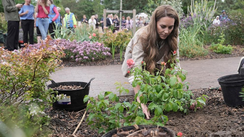 PHOTO: Britain's Kate, Princess of Wales, plants a rose during a visit to the RHS's Wellbeing Garden at Colchester Hospital in Essex, England, July 2, 2025.
