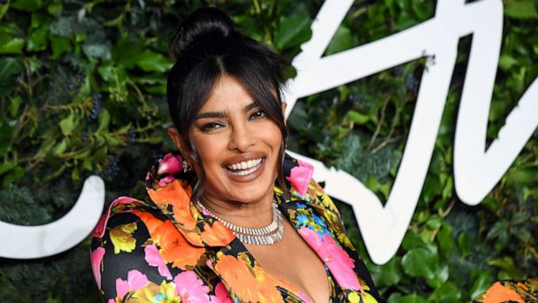 What's Worth What: Priyanka Chopra Jonas gives a glimpse of her LV