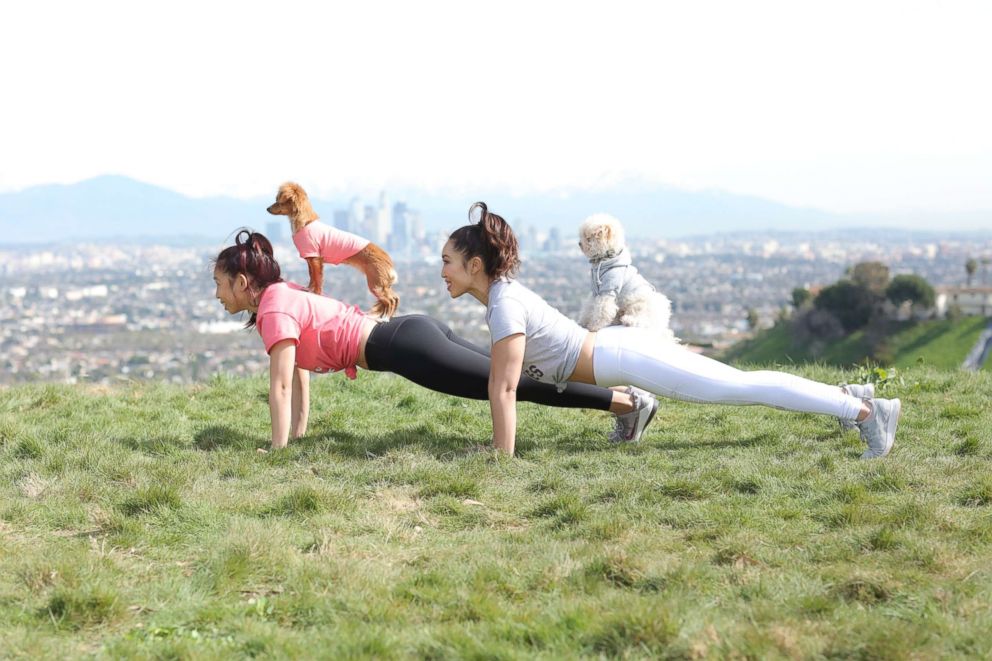 PHOTO: Puppies & Planks is a fitness festival for humans and dogs happening in Los Angeles.