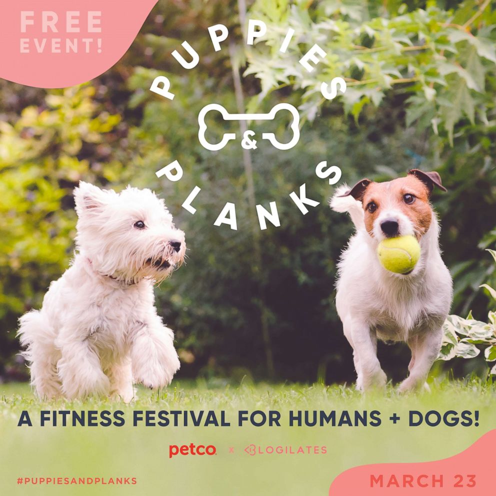 PHOTO: Puppies & Planks is a fitness festival for humans and dogs happening in Los Angeles.
