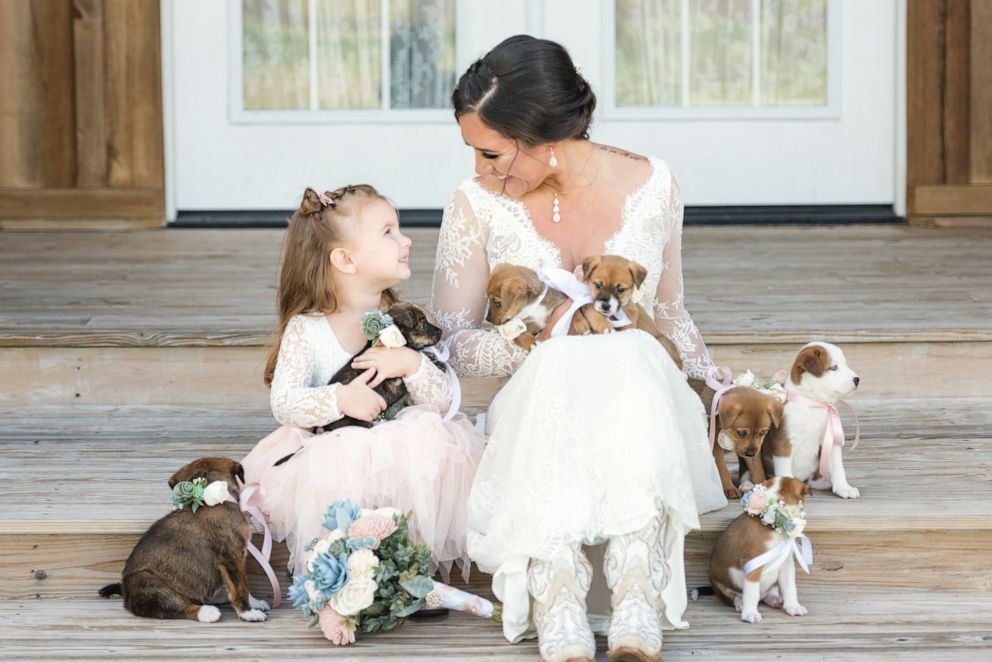 PHOTO: Andee Krasinski said that the couple's three-year-old daughter Carter loved playing with the puppies.