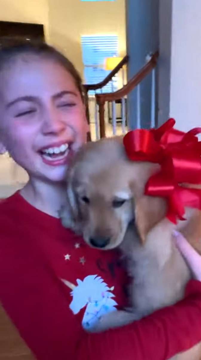 Christmas comes early: Golden retriever puppy shows up on girls' porch