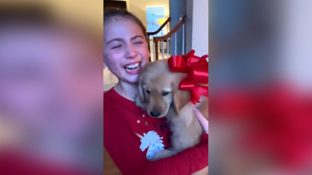 VIDEO: Sisters cry when Christmas wish for a puppy comes true