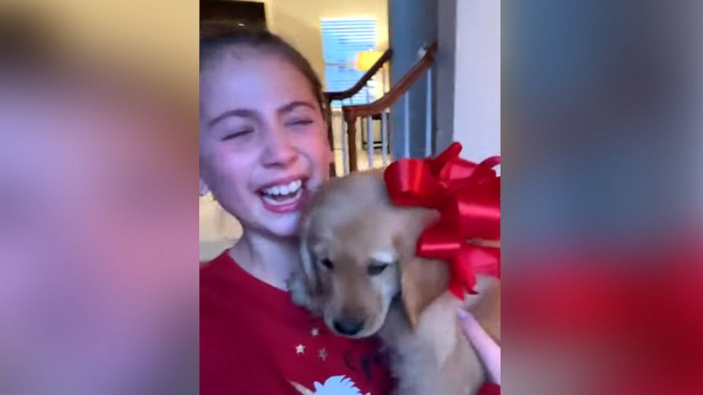 PHOTO: Sisters Emme and Ella of Michigan were surprised with an early Christmas present of a 10-week-old golden retriever.