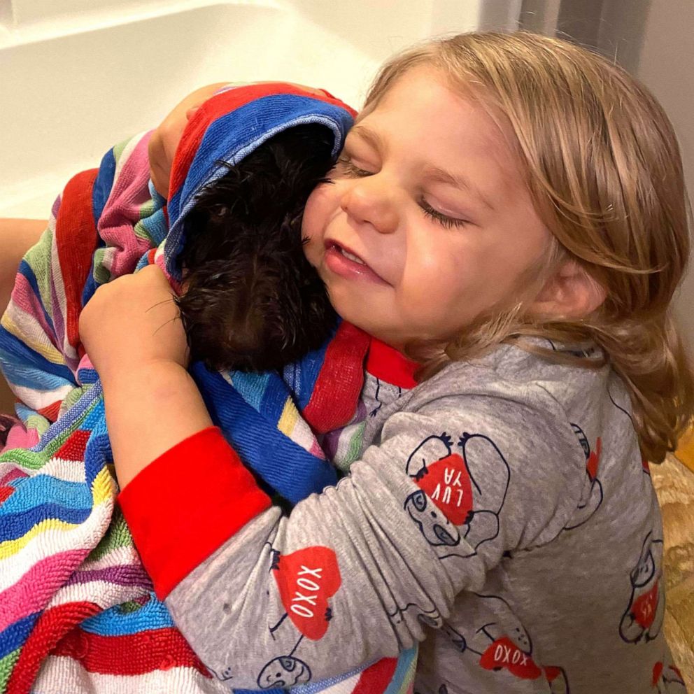 VIDEO: 2-year-old heart recipient is given puppy from stranger