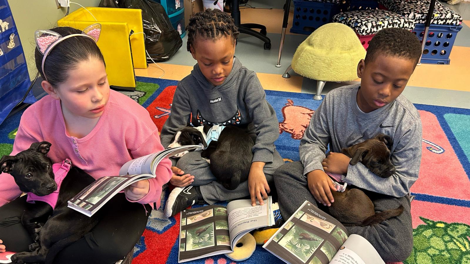 PHOTO: Brooke Hughes, a first-grade teacher at Hanby Elementary School in Wilmington, Del., started the Foster Tales Puppy Therapy program that encourages students to read to foster puppies.