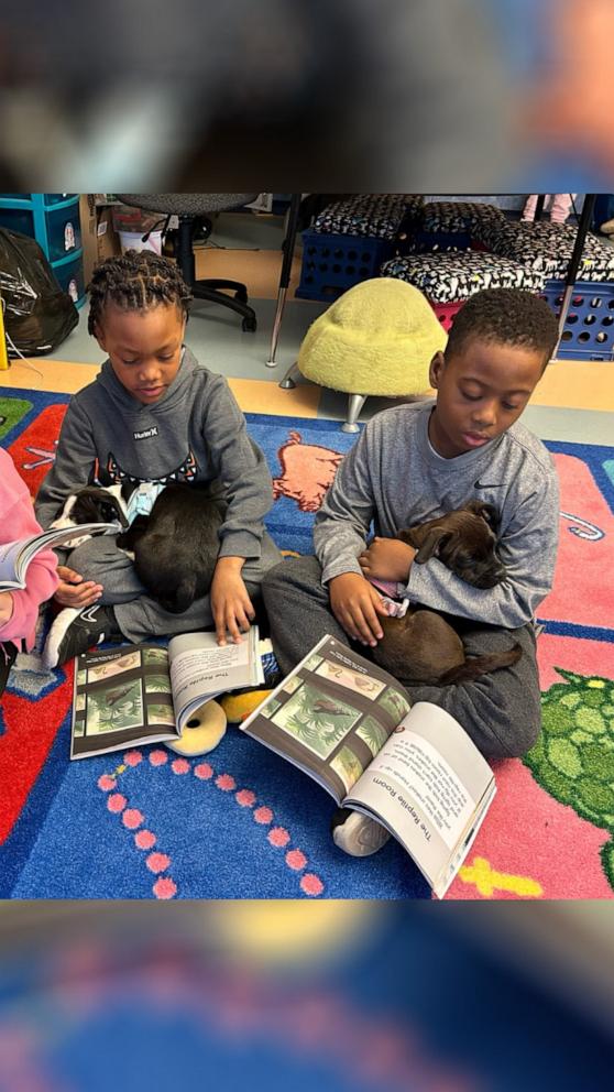 VIDEO: First grade class uses foster puppies to enhance their reading skills 